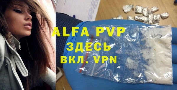 ПСИЛОЦИБИНОВЫЕ ГРИБЫ Белокуриха